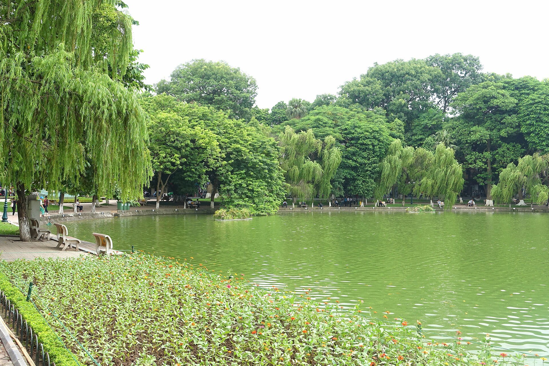 A willow leaning over Hoan Kiem Lake with people walking the path beside it