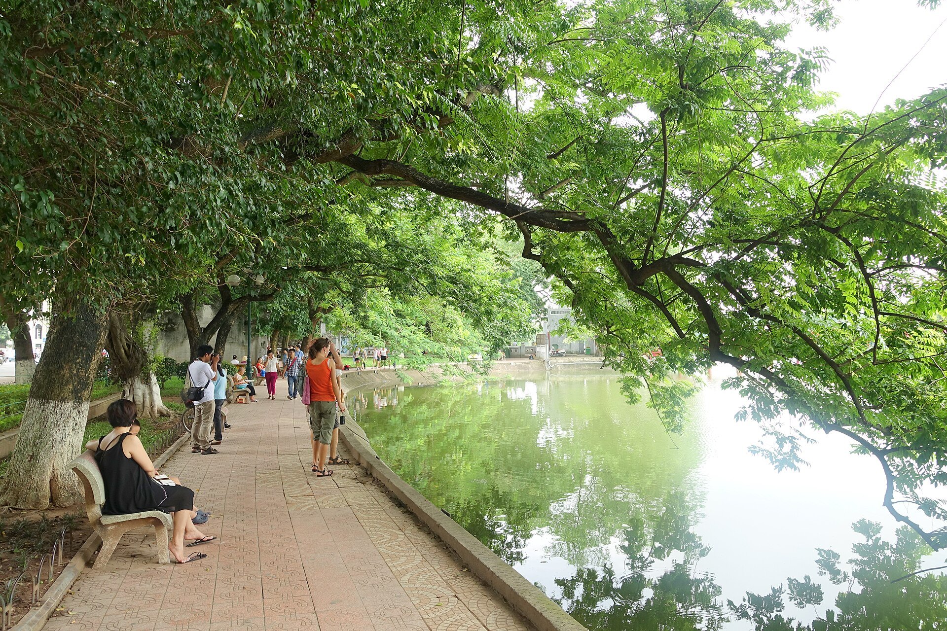 The lake seen through the trees along its edge