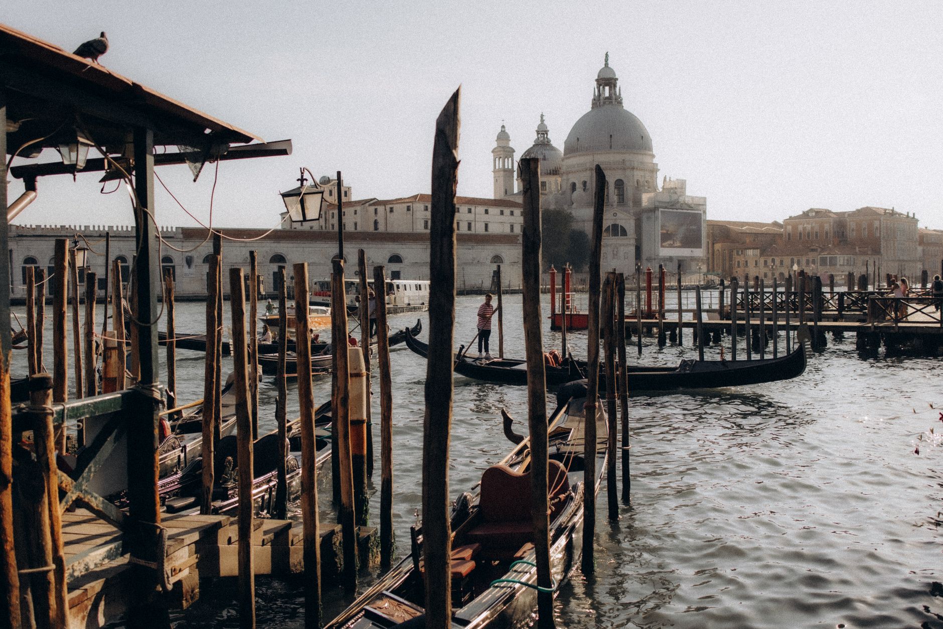 Gondolas and historic architecture in Venice's Grand Canal