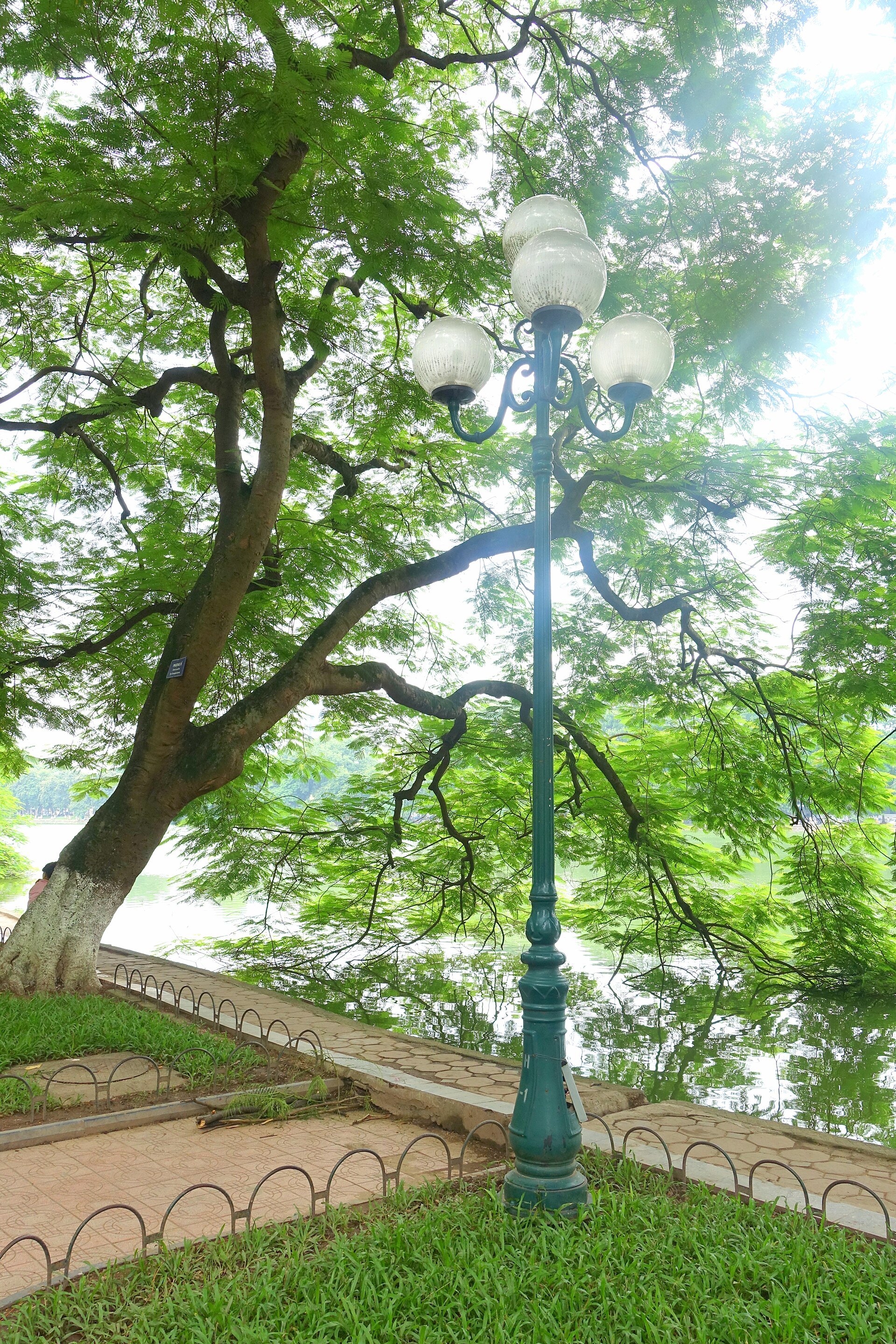 Hoan Kiem Lake with trees along the water's edge
