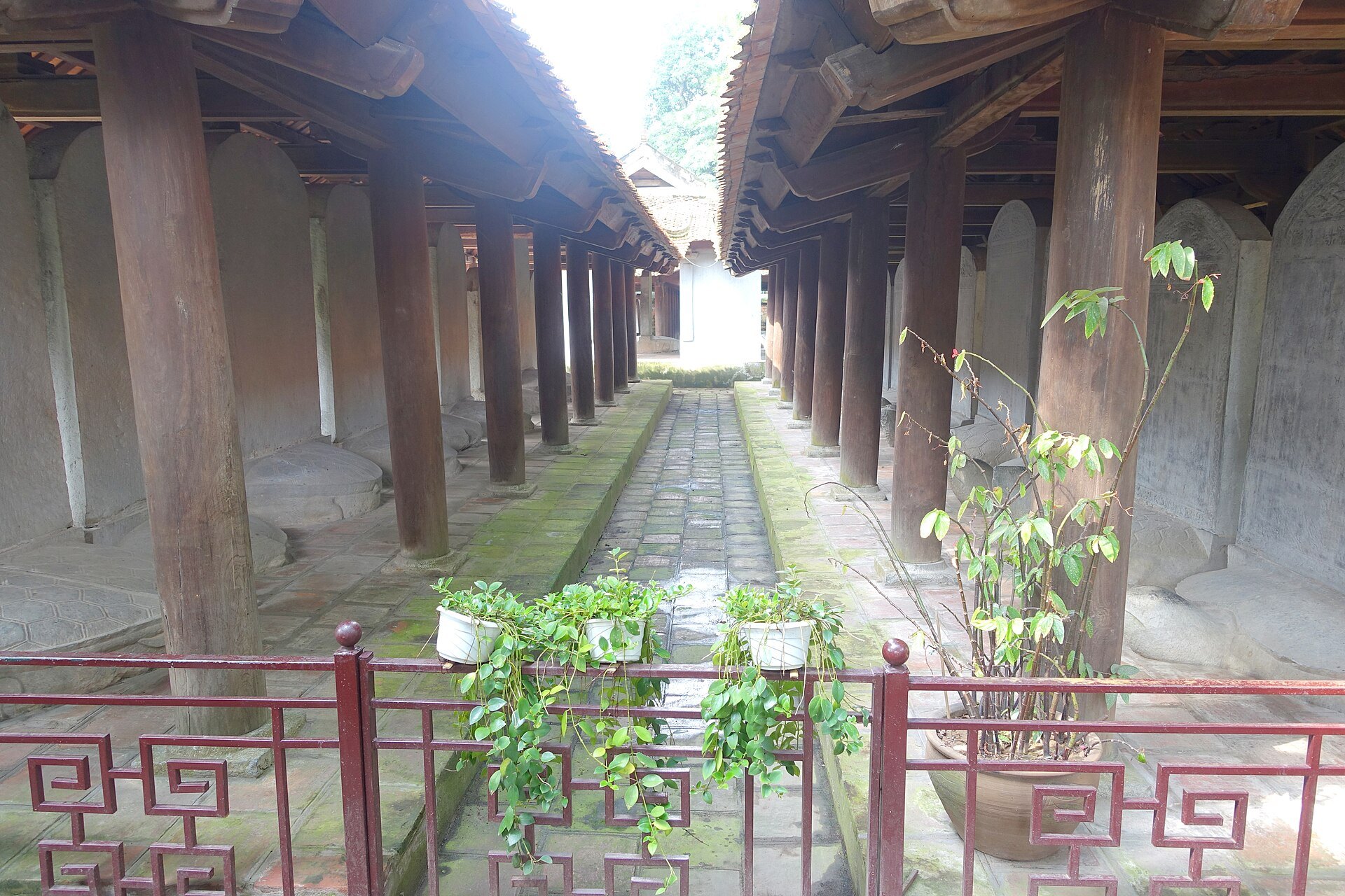 The corridor of stone stelae carried on tortoises, listing the doctors of the old examinations