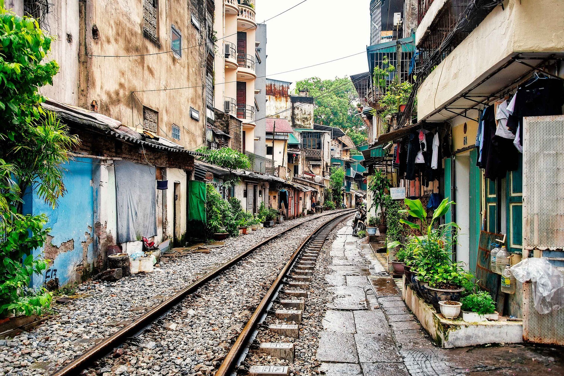 The railway running between the houses of the Old Quarter, plants along the track
